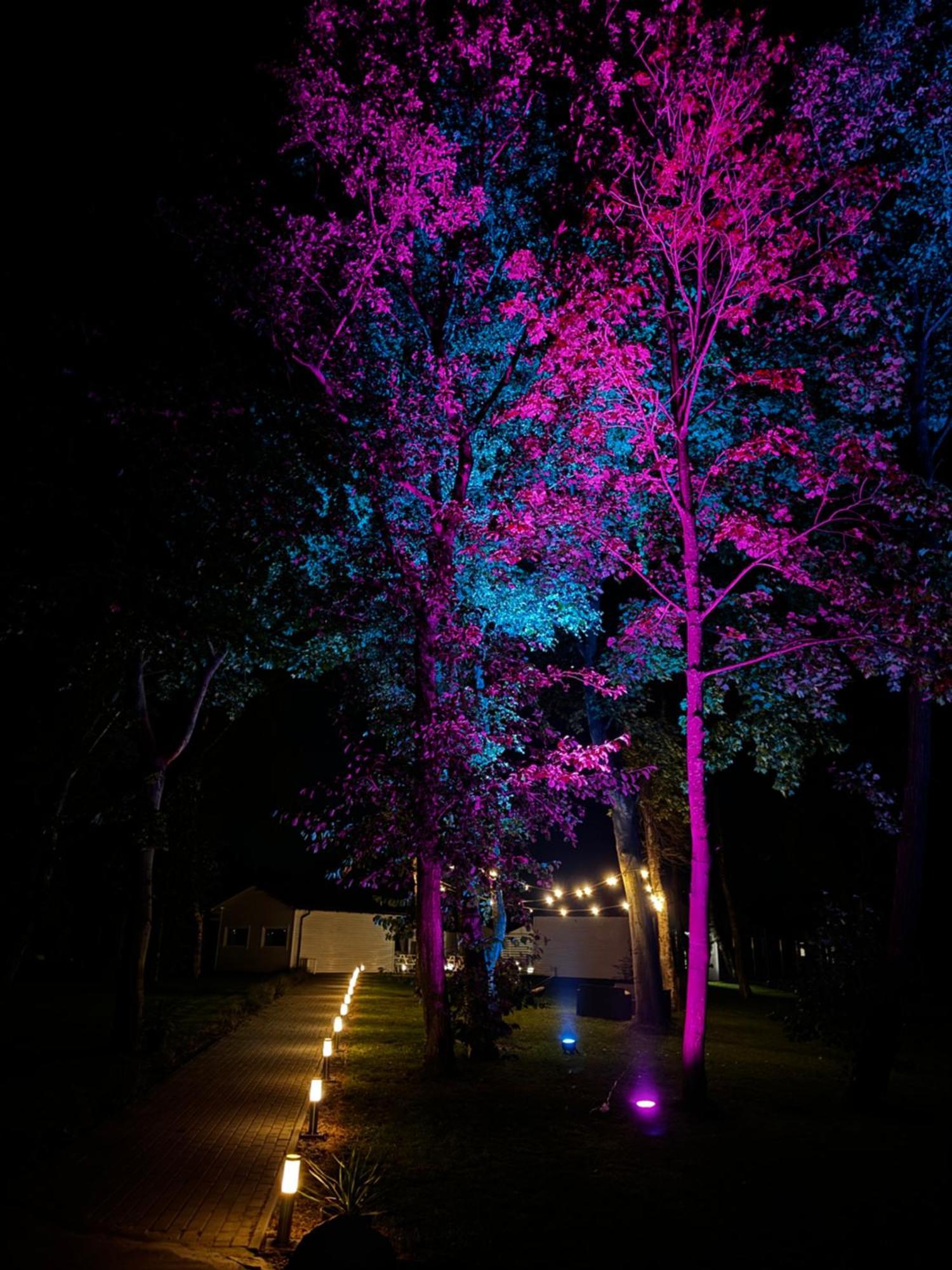 Lumi Resort Domki Letniskowe Z Podgrzewanym Basenem Rewal Exterior photo